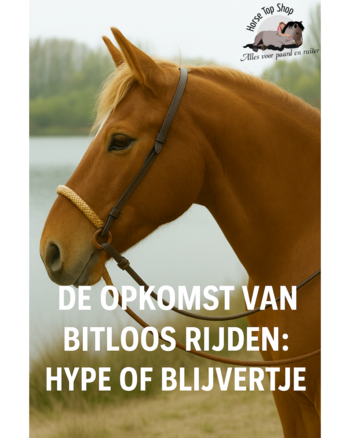 De opkomst van bitloos rijden: hype of blijvertje? De opkomst van bitloos rijden: hype of blijvertje?