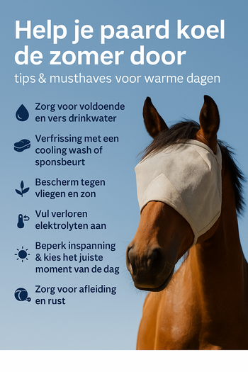 Help je paard koel de zomer door: tips & musthaves voor warme dagen Help je paard koel de zomer door: tips & musthaves voor warme dagen